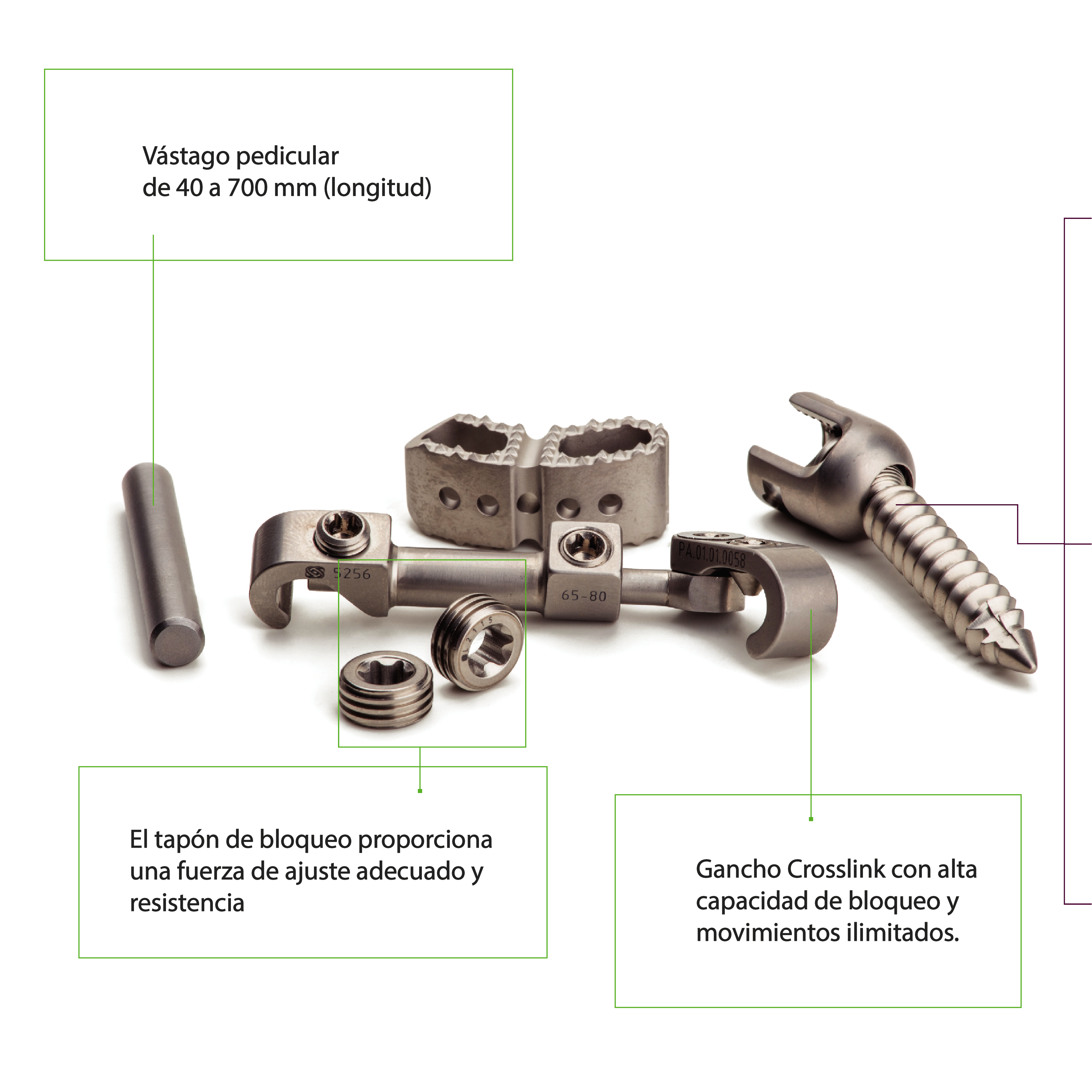 SISTEMA RIGID SPINE PLUS